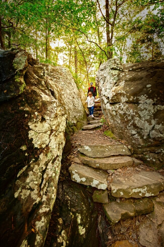 Arkansas Quick Facts Only In Arkansas