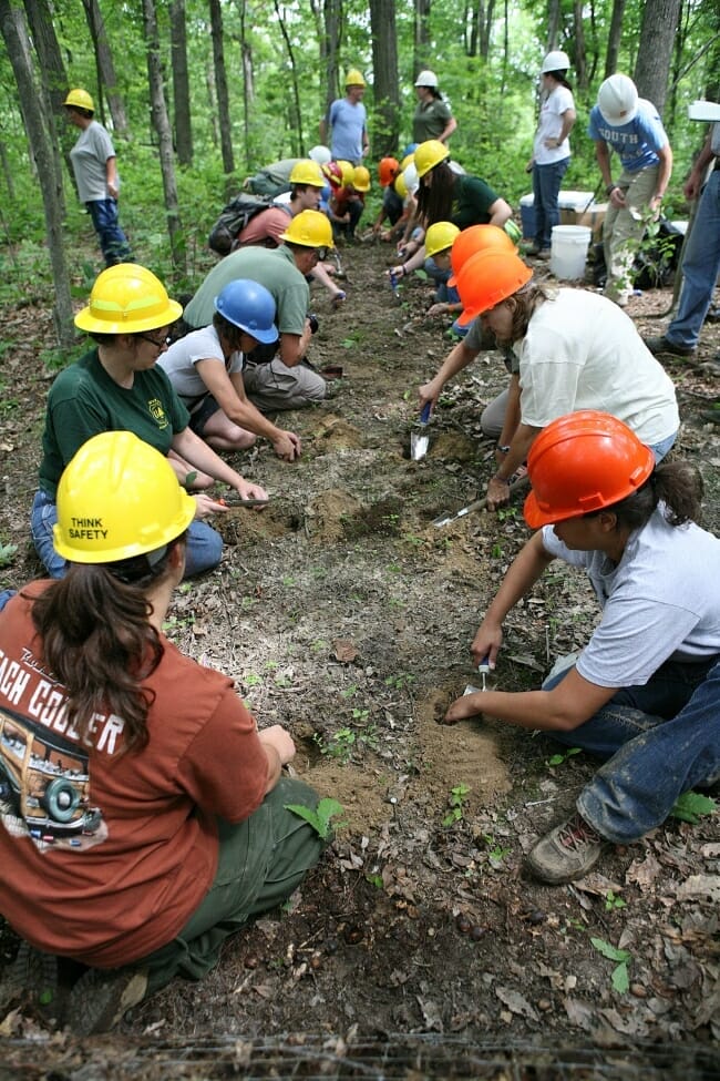 By 2012, 750 pairs of American burying beetles had been reintroduced in Ohio forests.