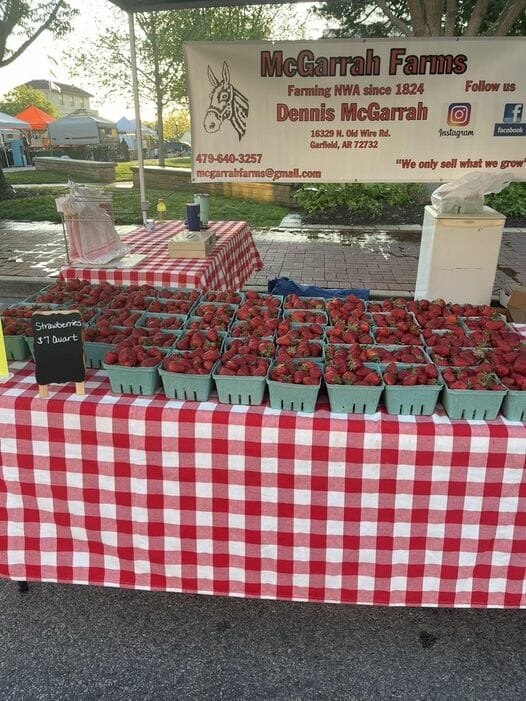 McGarrah Farms U-Pick berries