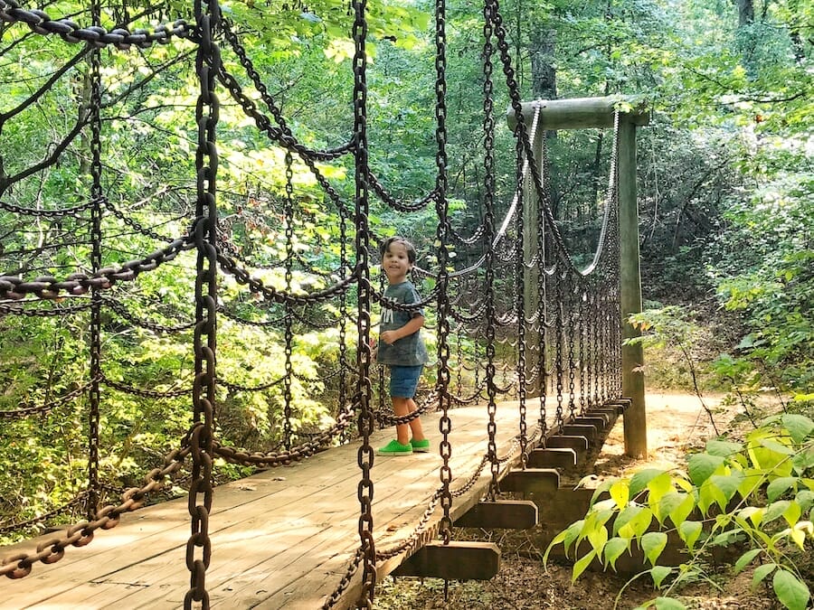 Hidden gems: Dancing Rabbit Trail at Crowley’s Ridge State Park