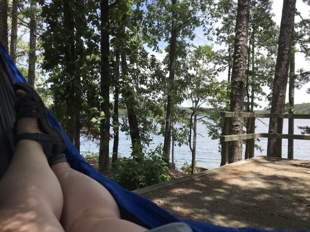 July Nature Journaling – Savor the Shade