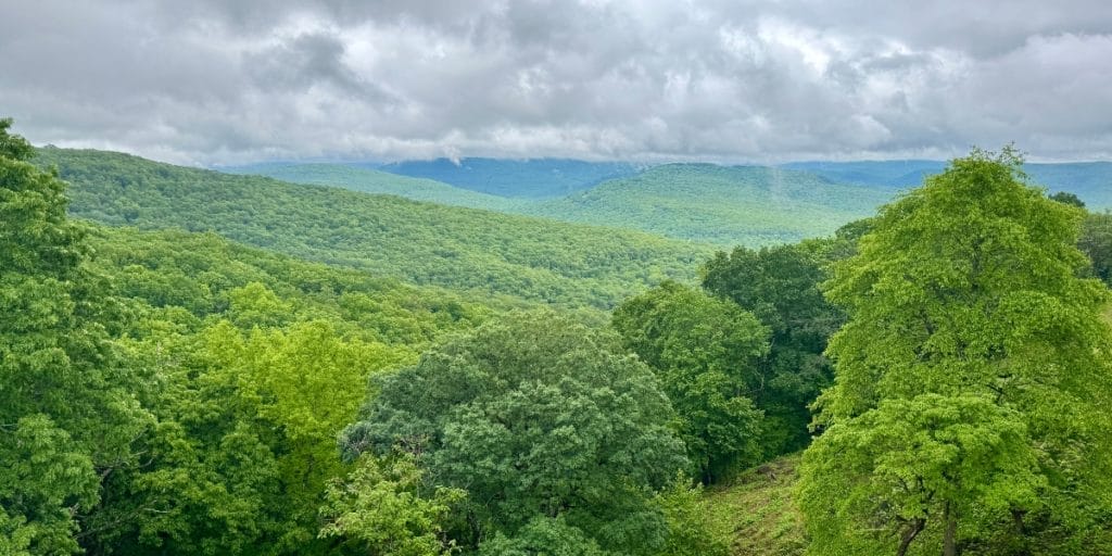Phone Photography for Summer Fun