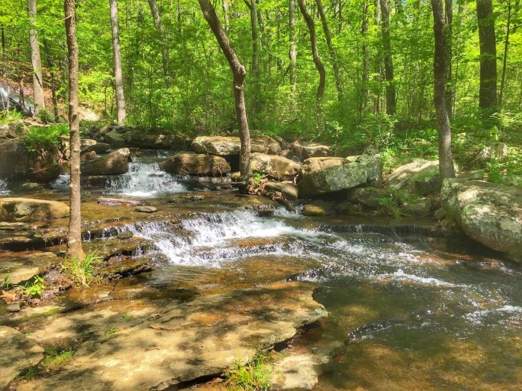 Exploring Arkansas Creeks