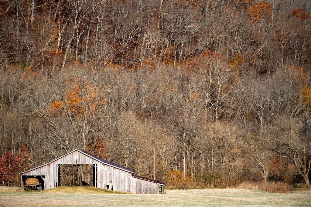 November Nature Journal – Quiet Transitions