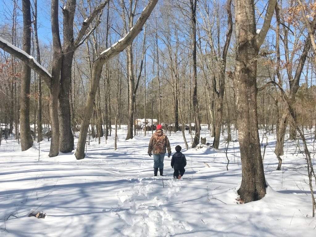 Arkansas Trails That Shine in Winter